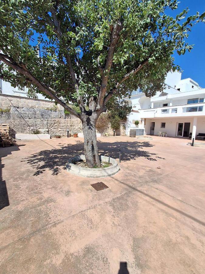Alloggio vacanza La Quercia in Leuca, Castrignano del Capo