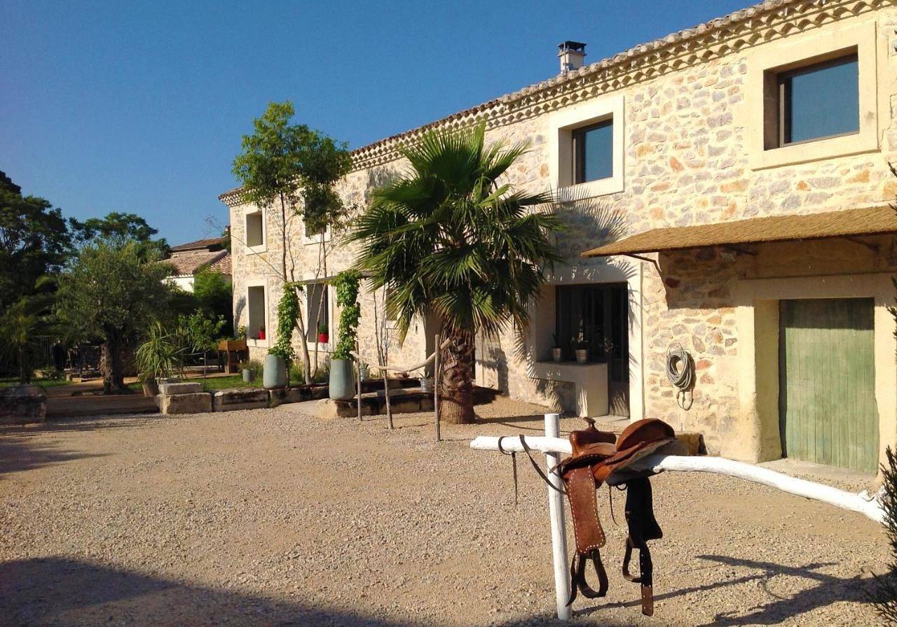 Double Room with Private Bathroom with hammock in Saint-Laurent-d'Aigouze, Côte d'Améthyste