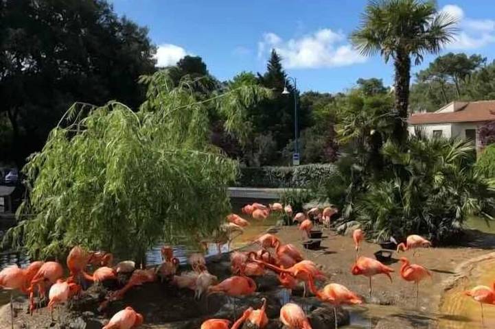 Camping pour 6 personnes