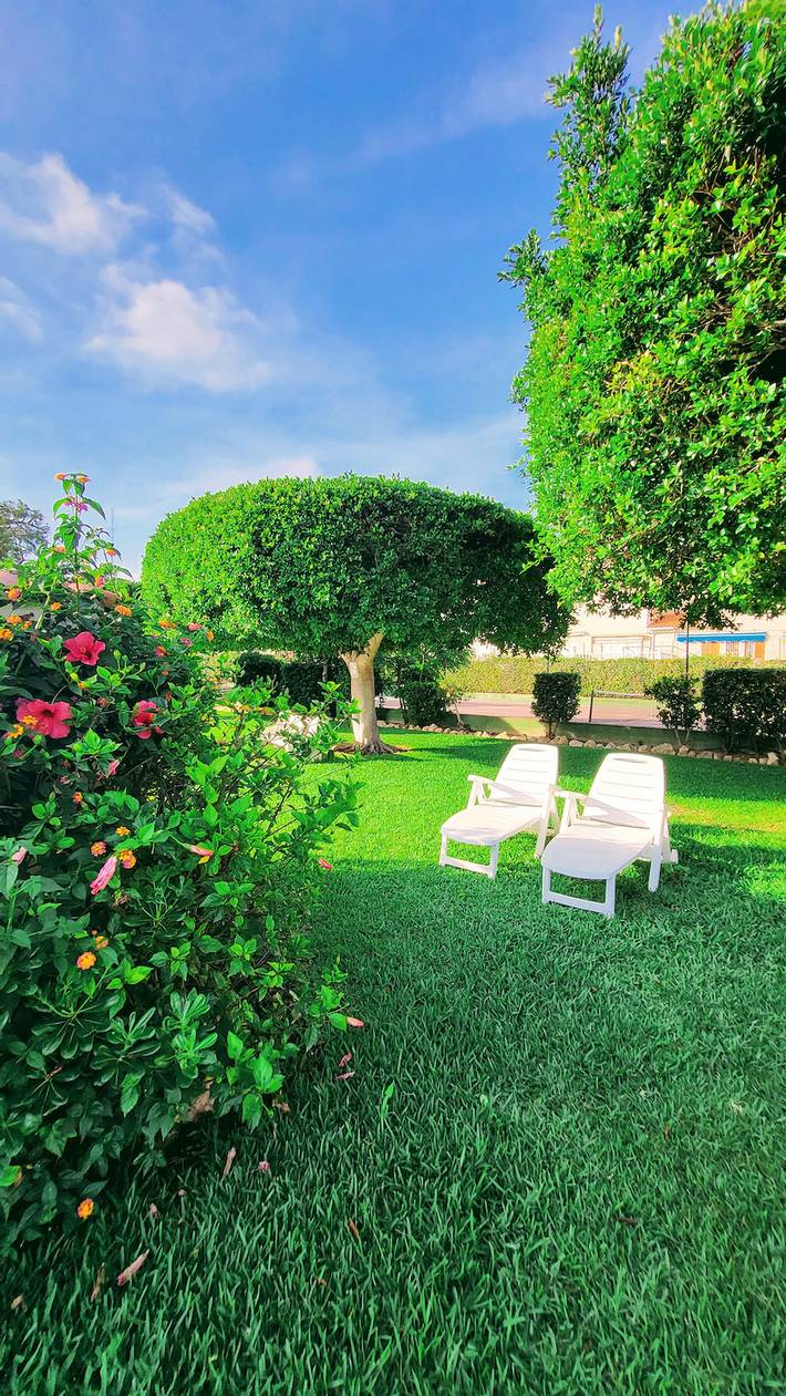 Gîte pour 4 personnes, avec terrasse ainsi que jardin et bassin pour enfant, adapté aux familles à Guardamar del Segura - 3