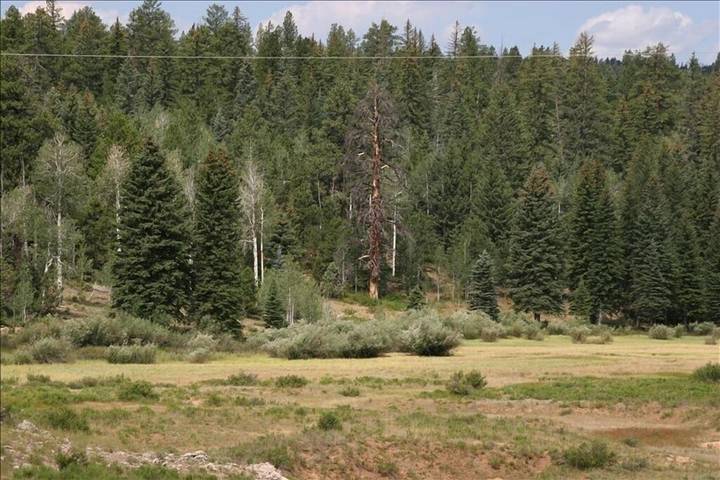 Log cabin for 12 people, with balcony in Utah