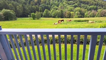 Ferienwohnung für 3 Personen, mit Ausblick und Balkon sowie Garten in Schöfweg