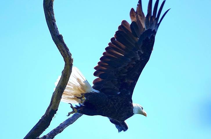 Cottage for 6 people, with yard in New Jersey