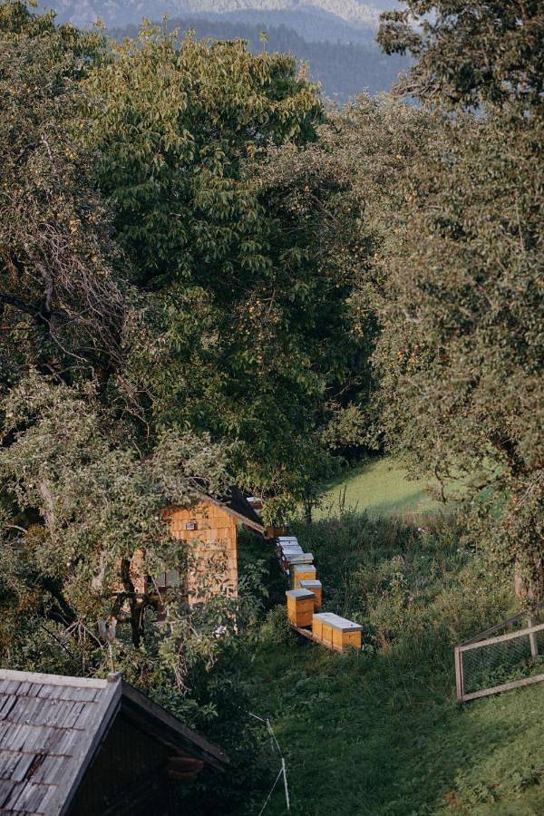 Bauernhof für 3 Personen, mit Ausblick und Garten sowie Sauna in Rohrmoos