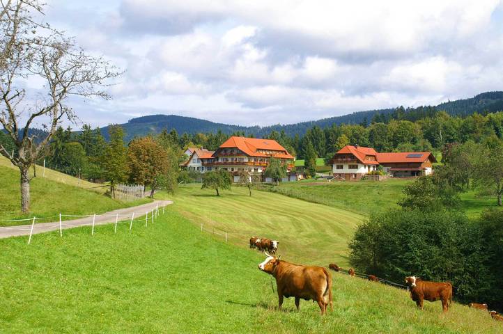 Hôtel pour 3 personnes, avec Balcon/Terrasse ainsi que Balcon et Terrasse à Bad Rippoldsau-Schapbach