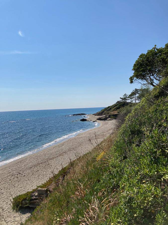 Maison pieds dans l eau avec piscine et clim in Marine de Bravone, Linguizzetta
