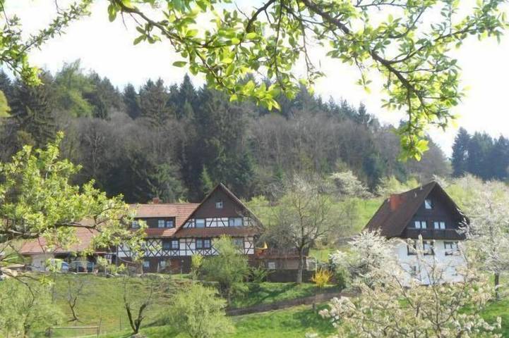 Ferienwohnung für 5 Personen, mit Balkon und Garten in Seebach (Ortenaukreis)