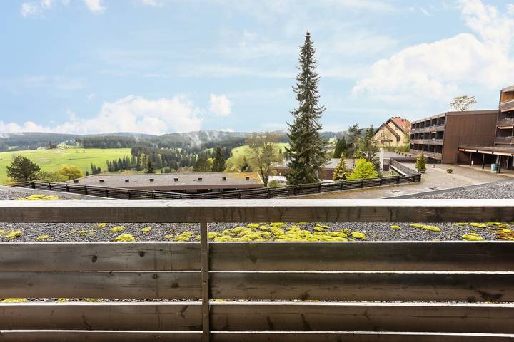Ferienwohnung für 5 Personen, mit Sauna und Balkon in Schonach - 4
