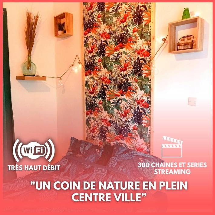 Gîte pour 2 personnes, animaux acceptés à Hénin-Beaumont