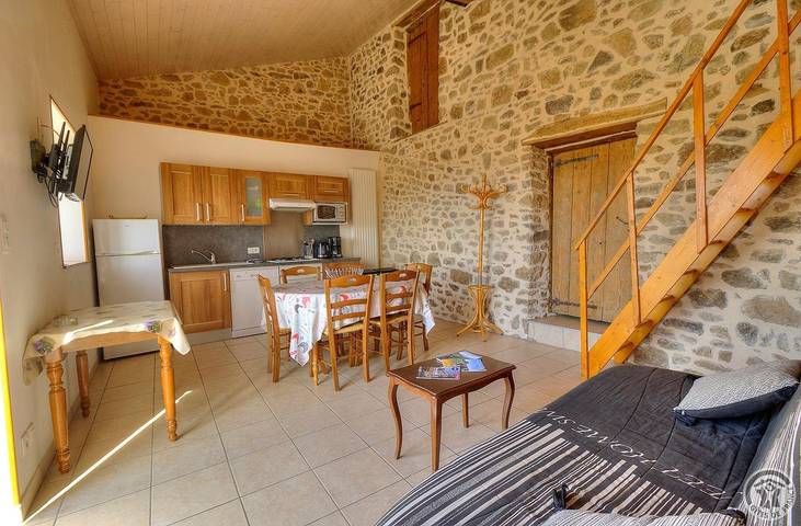 Gîte pour 6 personnes, avec terrasse dans Rhône - 4