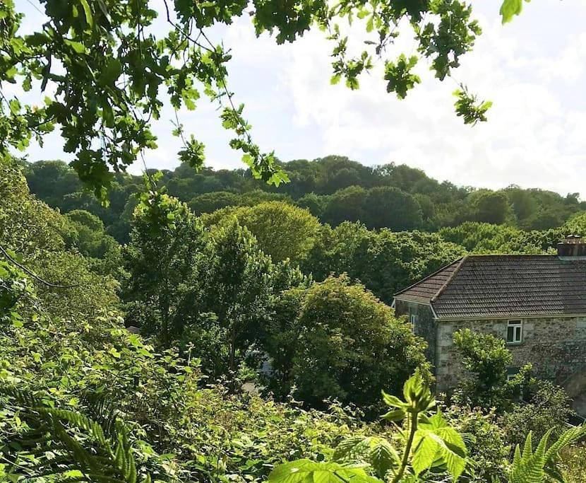 Entire apartment, One-Bedroom Apartment in Helston, Cornwall
