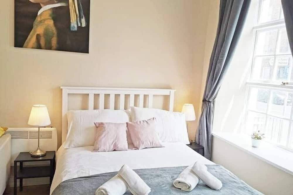 Entire apartment, Lovely Renovated Large Spacious Georgian Studio in Dublin, County Dublin