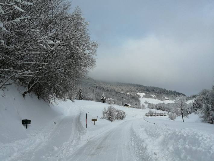 Gîte pour 12 personnes, avec jardin et terrasse à Le Bonhomme - 4