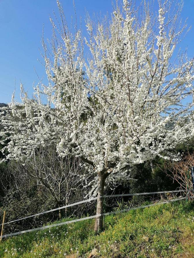 Casa de familia para 2 personas, con piscina y jardín en Provincia de Barcelona - 2