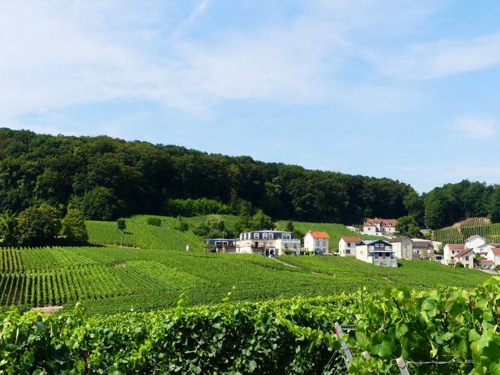 Maison d’hôte pour 15 personnes, avec vue et jardin