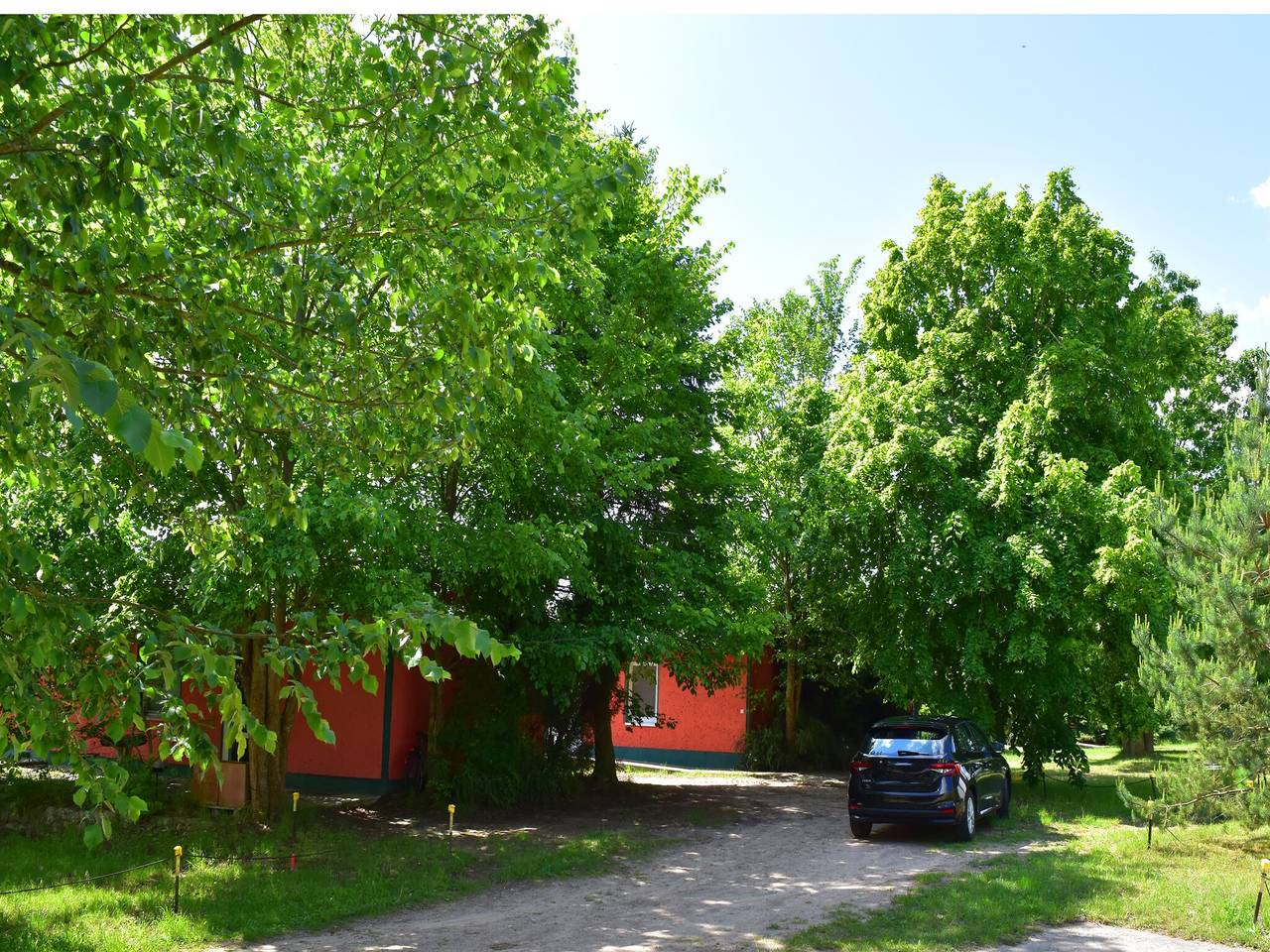 Reihenhaus Tulpe in Lohmen in Garden (Lohmen), Lohmen