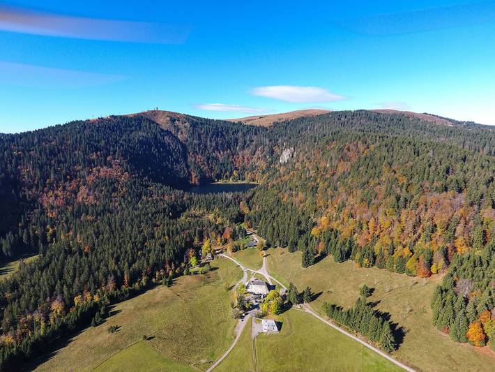Appartement entier, Appartement 'Mühle' – pause cosy au Feldberg in Feldberg Ort, Feldberg
