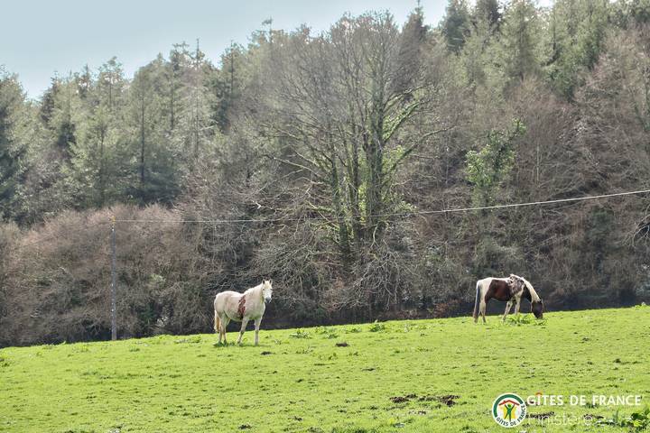 Ty Mor Ruz in Huelgoat, Châteaulin region