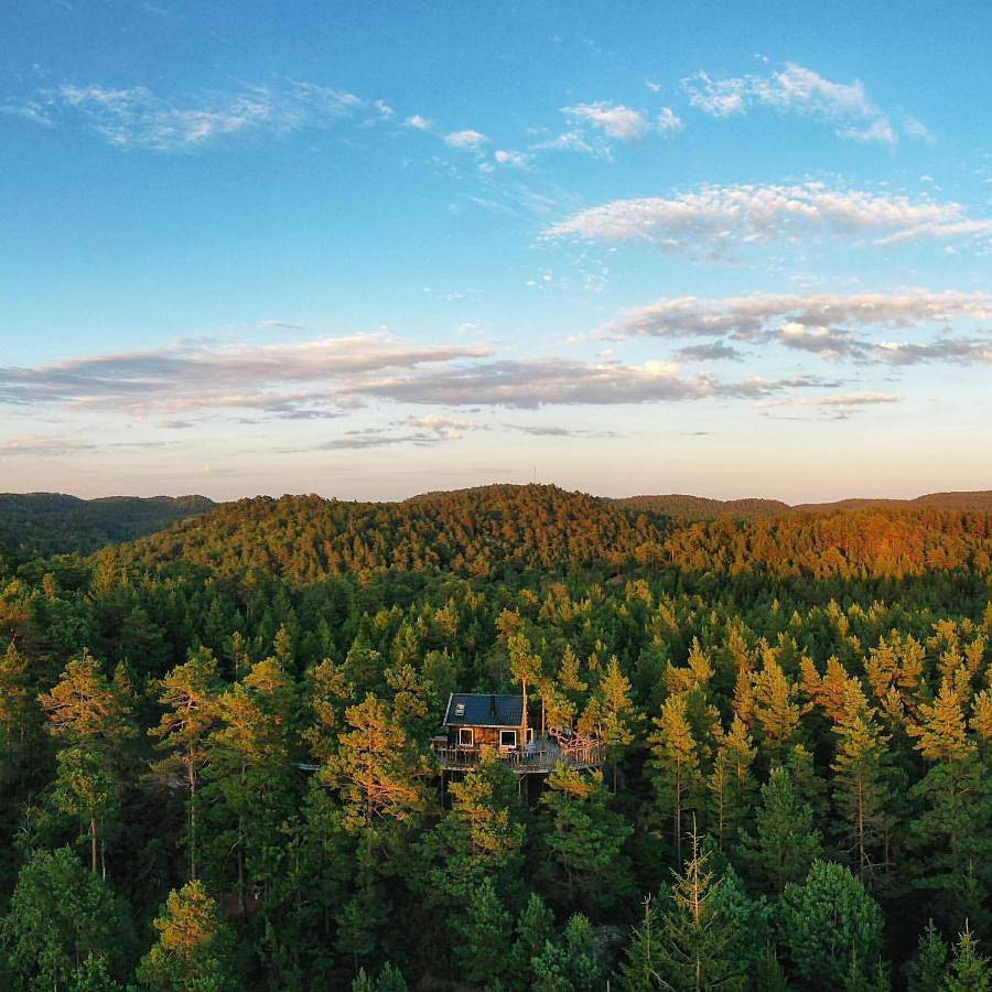 Gluba Treetop Cabins Furunåla in Mandal