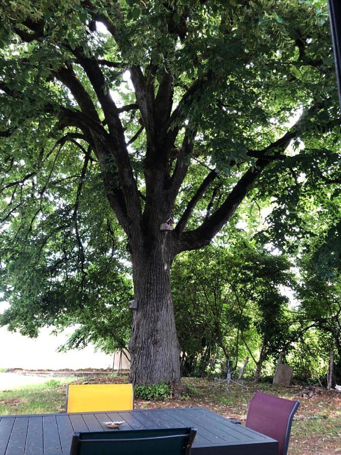 Chambre d’hôte pour 5 personnes, avec piscine ainsi que vue et jardin, animaux acceptés à Bergerac - 3