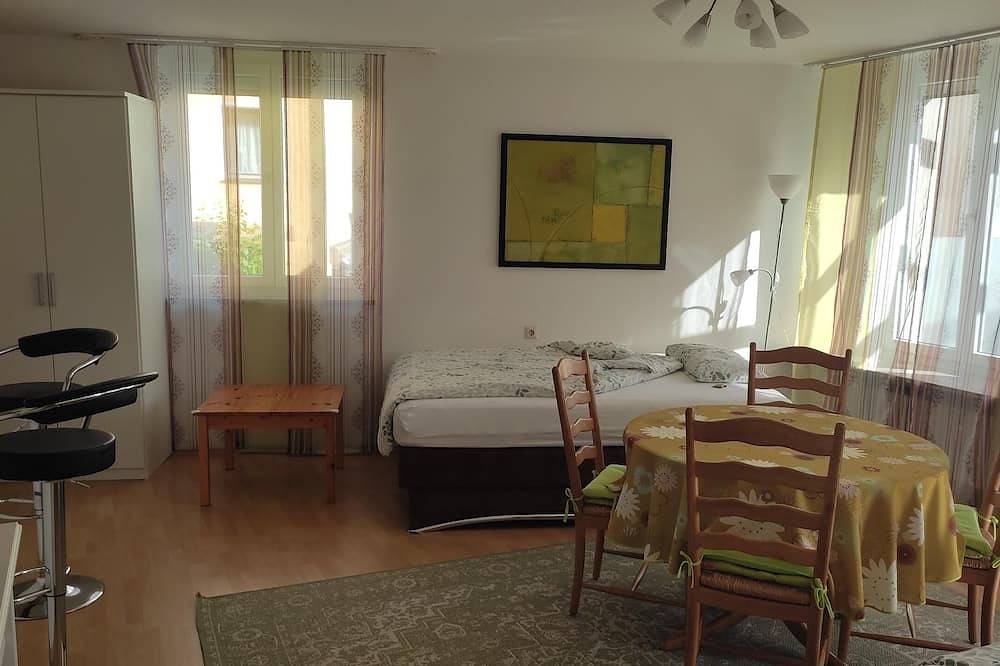 Ganze Wohnung, Ein-Zimmer-Nichtraucher-Appartement mit 45qm in Zirndorf, Franken