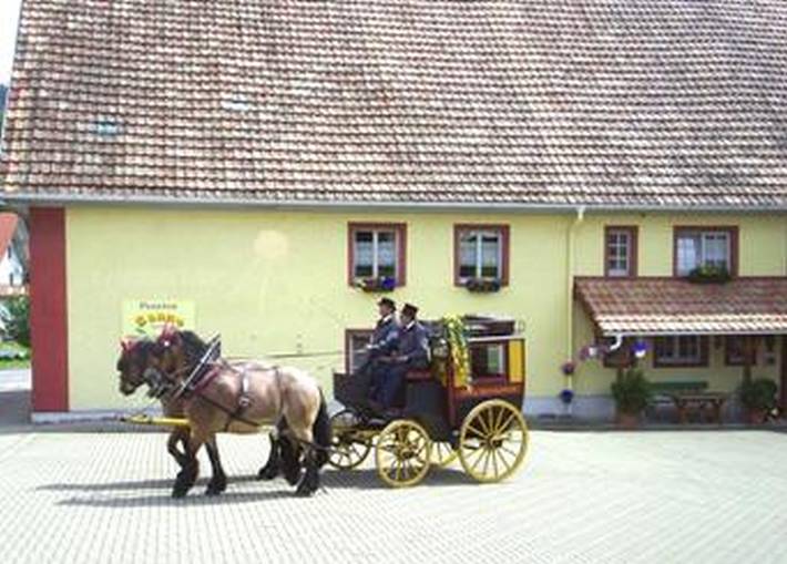 Pension, mit Terrasse und Garten in Rickenbach