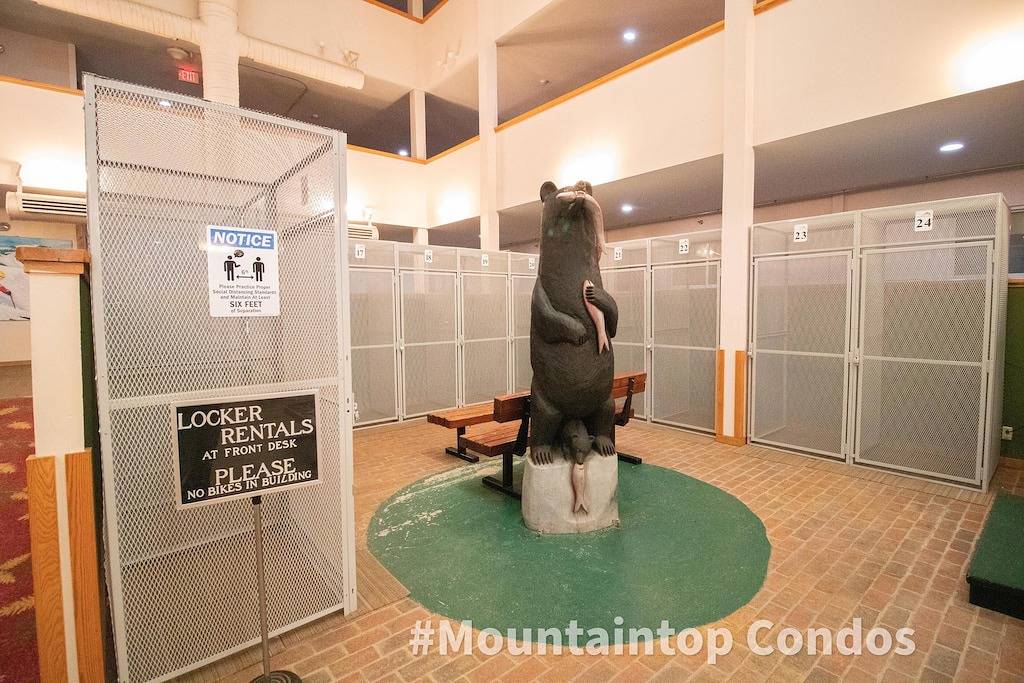 Ganze Wohnung, 1Br / 1Ba Wi-Fi-Blick auf die Berge - Neben den Pisten und dem Dorf - Nice in Snowshoe, Greenbrier River