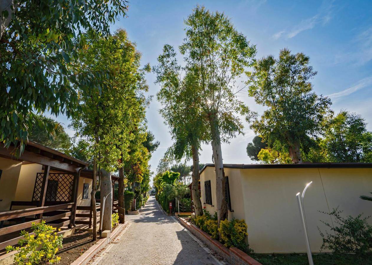 Studio with Terrace in Santa Maria di Castellabate, Cilento Coast