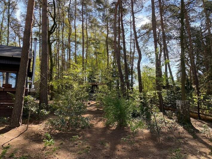 Ferienhaus für 4 Personen, mit Sauna und Terrasse sowie Garten, mit Haustier in der Lüneburger Heide - 4