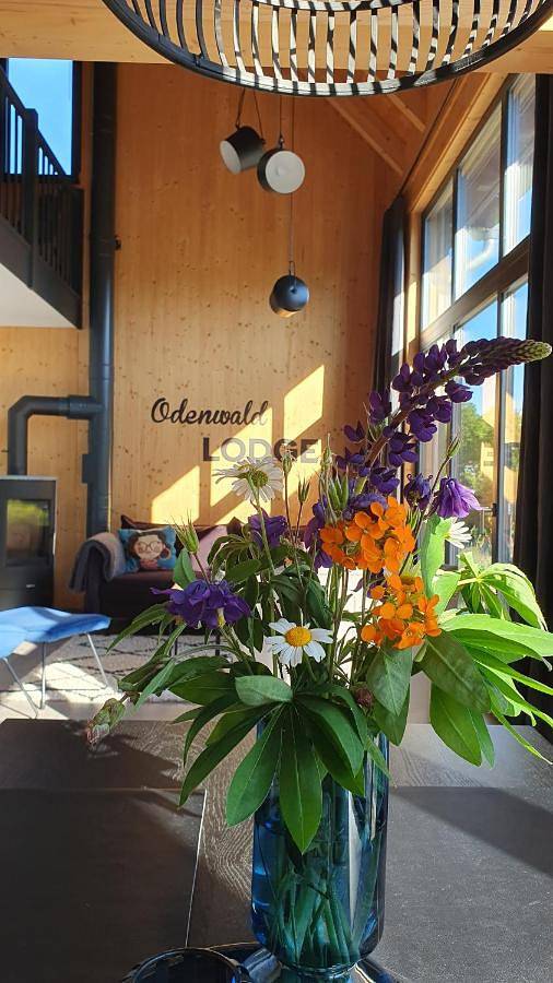 Ferienhaus für 4 Personen, mit Terrasse und Garten sowie Sauna und Ausblick in Reichelsheim - 4