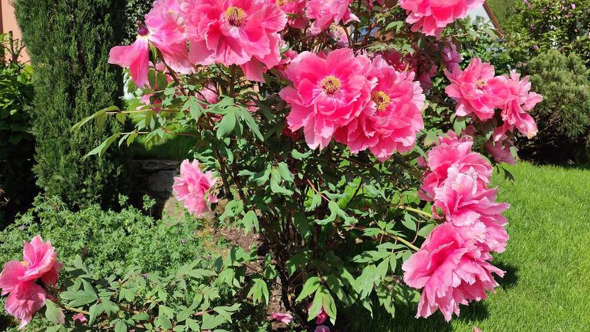 Ferienwohnung für 2 Personen, mit Terrasse in Südliche Weinstraße - 3
