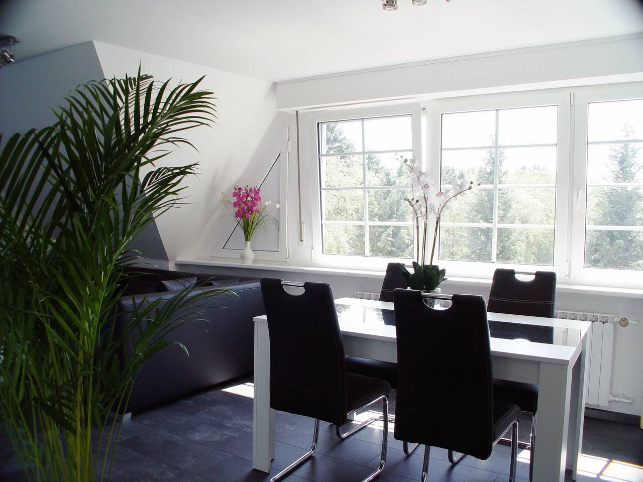 Ganze Wohnung, La Domus Premium in Lotte, Nordrhein-Westfalen