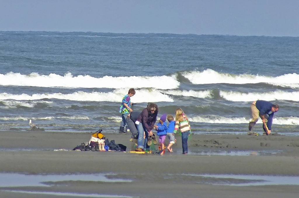 Rustikales, abgelegenes Retreat-Center im altbewachsenen Wald in Strandnähe in Copalis Beach, Grays Harbor County