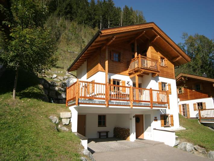 Ferienhaus für 12 Personen, mit Terrasse und Sauna sowie Pool in Wald im Pinzgau