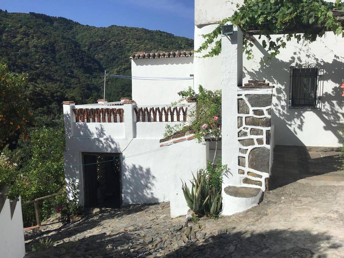 Finca Riolavar in Jubrique, Provincia de Málaga