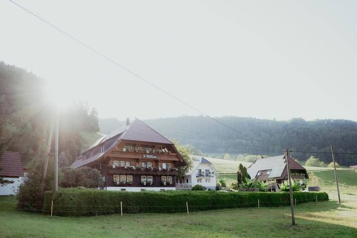 Ferienwohnung für 2 Personen, mit Balkon und Terrasse sowie Garten und Pool in Gutach (Schwarzwaldbahn)