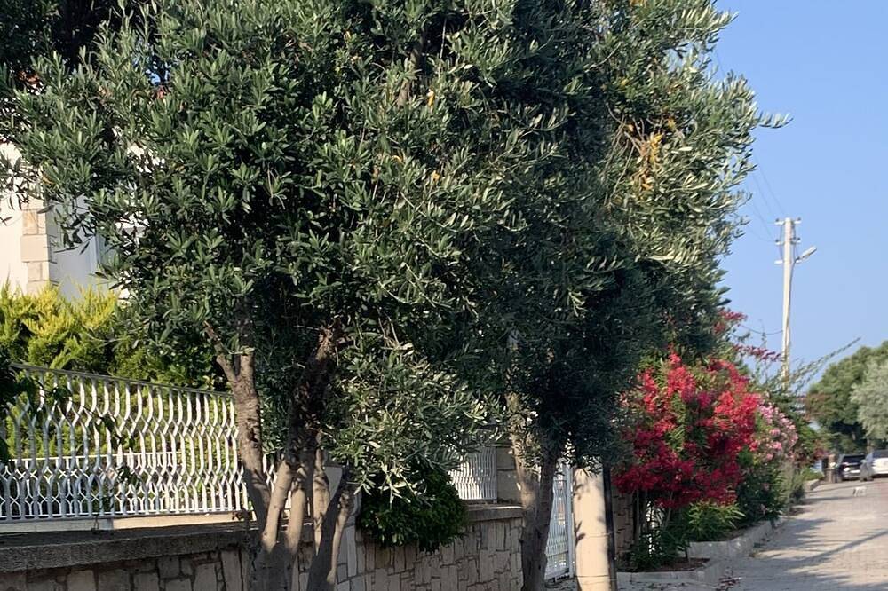 Ferienvilla  in Cesme, Türkei mit Privatpool und 150 mt zum Strand. in Cesme, Provinz Izmir