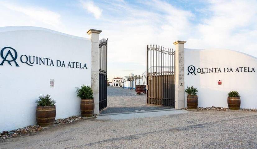 Hostal para 2 personas, con Terraza y Jardín además de Piscina para niños y Piscina en Santarém - 4