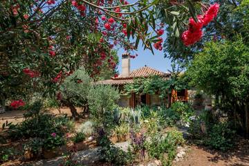 Camping per 6 Persone in Messenischer Golf, Peloponneso, Foto 2