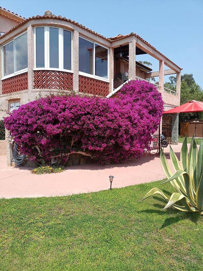 Appartement entier, Haut Villa Mesanges En Bord De Mer ! in Lucciana, Région de Bastia