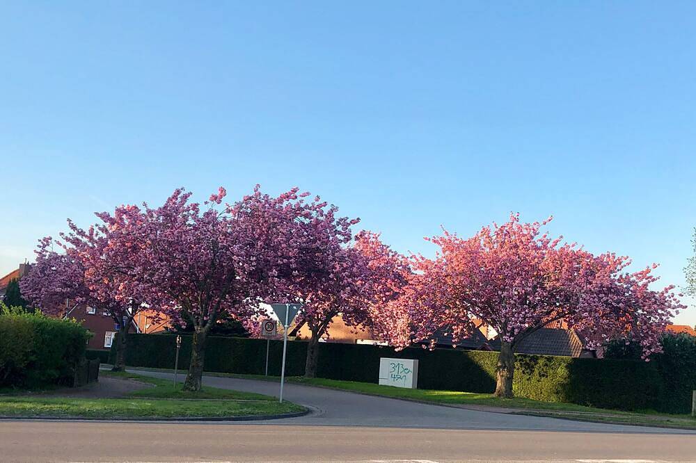 Gemütliche Wohnung „Emskoje“ — Bild 4
