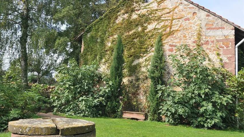 Ferienwohnung für 2 Personen, mit Terrasse und Garten in Deutsche Weinstraße - 2
