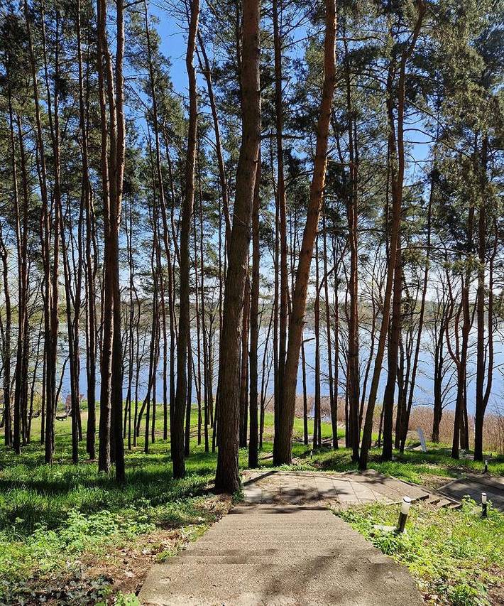 Ferienwohnung für 2 Personen, mit Sauna, mit Haustier - 1