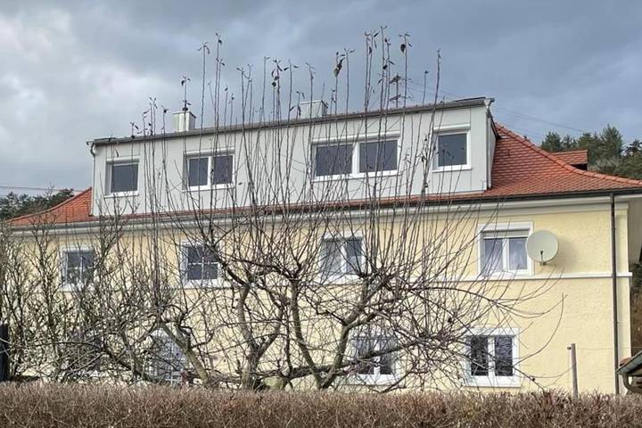 Ferienwohnung für 4 Personen, mit Garten in Sigmaringen - 4