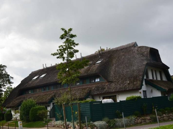Ferienhaus für 5 Personen, mit Garten, mit Haustier in Groß Zicker - 3