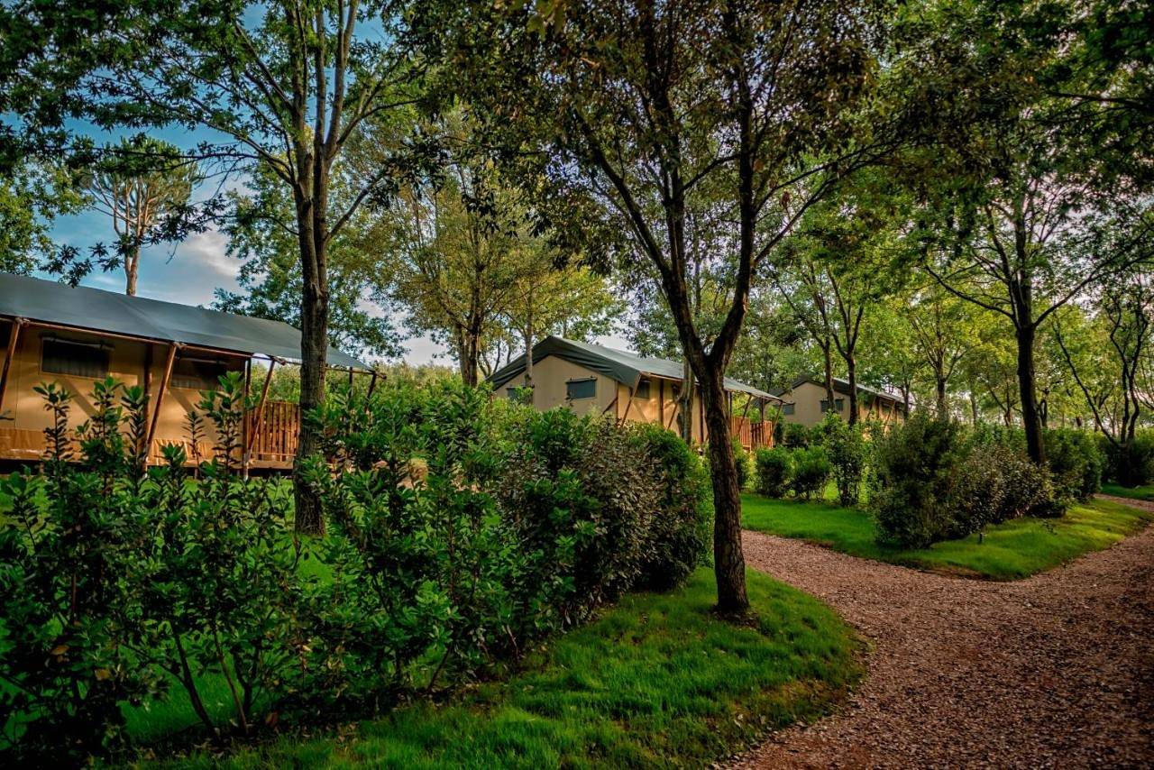 Glamping Tenuta Poggio Rosso in Piombino, Costa degli Etruschi