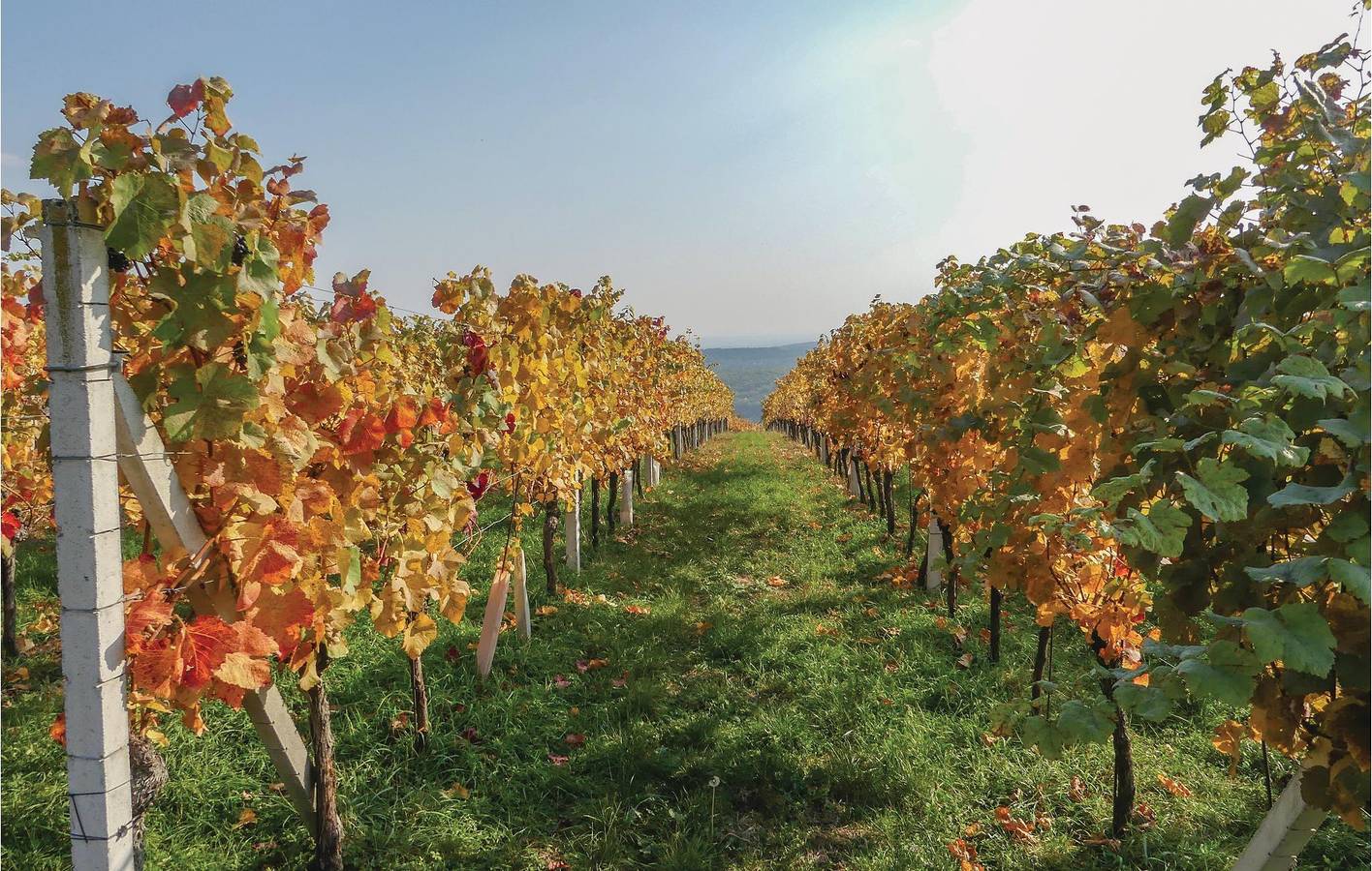 Ferienhaus für 10 Personen mit Garten in Eisenberg an der Pinka, Südburgenland