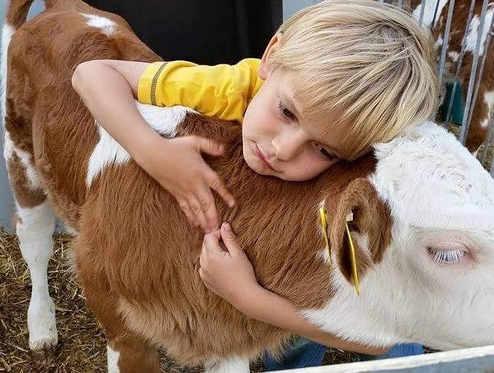 Bauernhof für 4 Personen, mit Garten im Taubertal