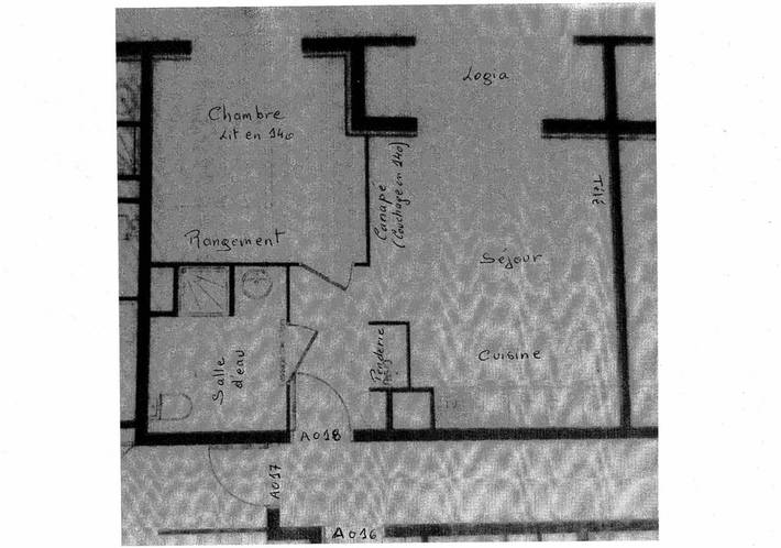 Gîte pour 4 personnes, avec terrasse, animaux acceptés à Saint-Jean-de-Braye - 4