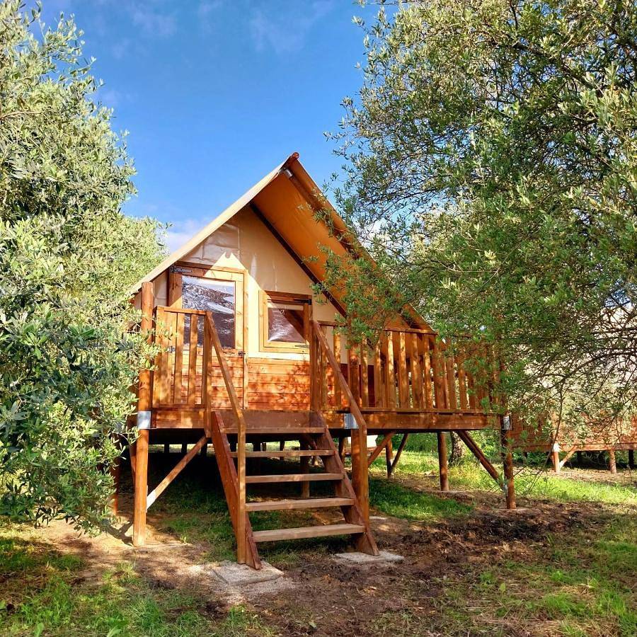 Glamping Il Bosco di Marino in San Pietro di Feletto, Provincia di Treviso